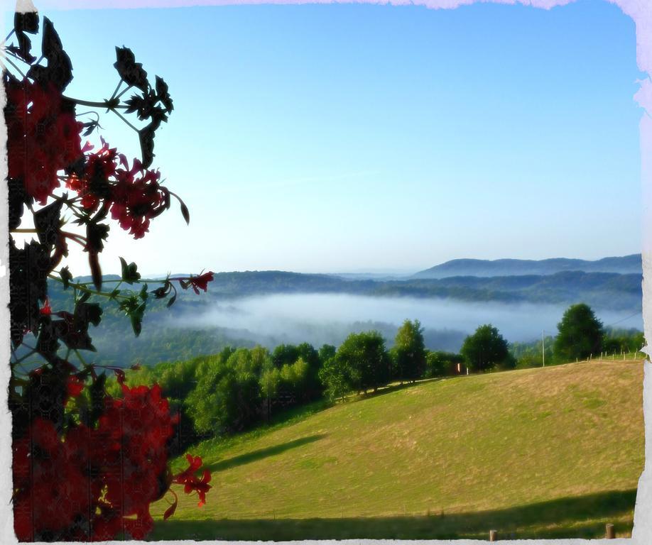 Hotel Srakovcic Heart Of Nature Ribnik Exteriör bild